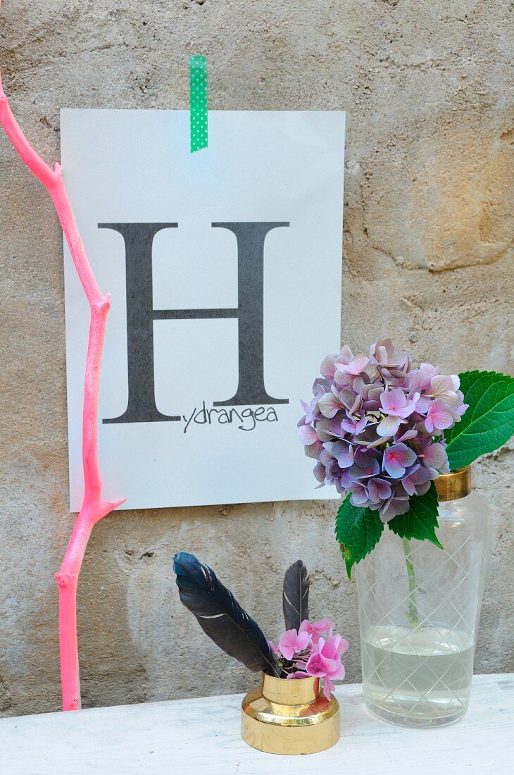 Letter H printed on paper on concrete wall behind hydrangea in cocktail shaker, feather and painted branch