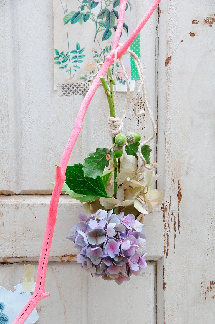 Hortensien kopfüber an pink lackiertem Ast zum Trocknen aufgehängt; nostalgische Pflanzenbilder mit Masking Tape an alte Tür geklebt