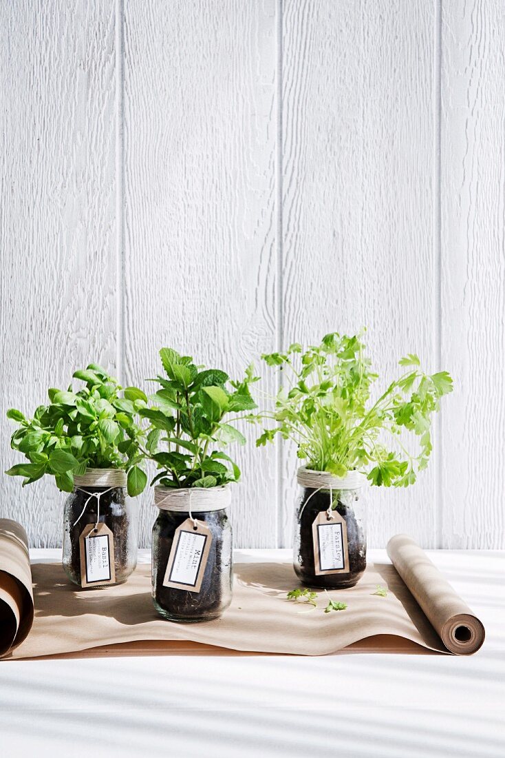 Kitchen herbs in handmade planters as gifts