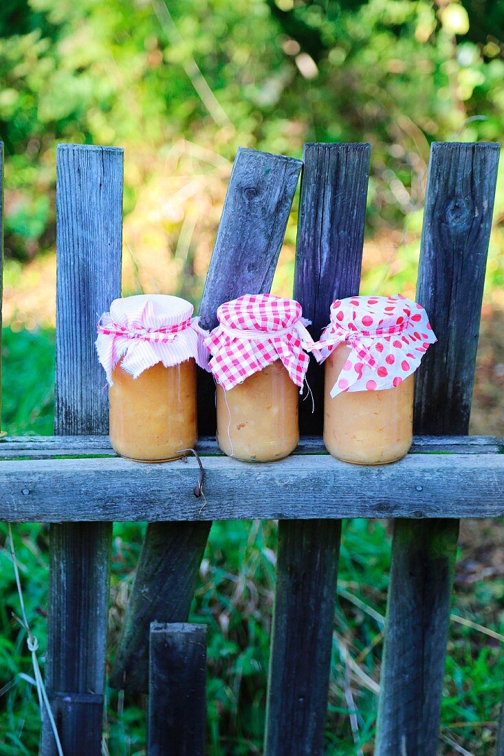 Three jars of apple sauce with nostalgic fabric covers on weathered picket fence in late-summer garden