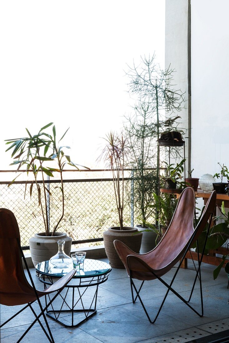 Lederne Butterfly Sessel und Coffee Table auf Betonbalkon mit Pflanztöpfen vor Maschendraht Geländer