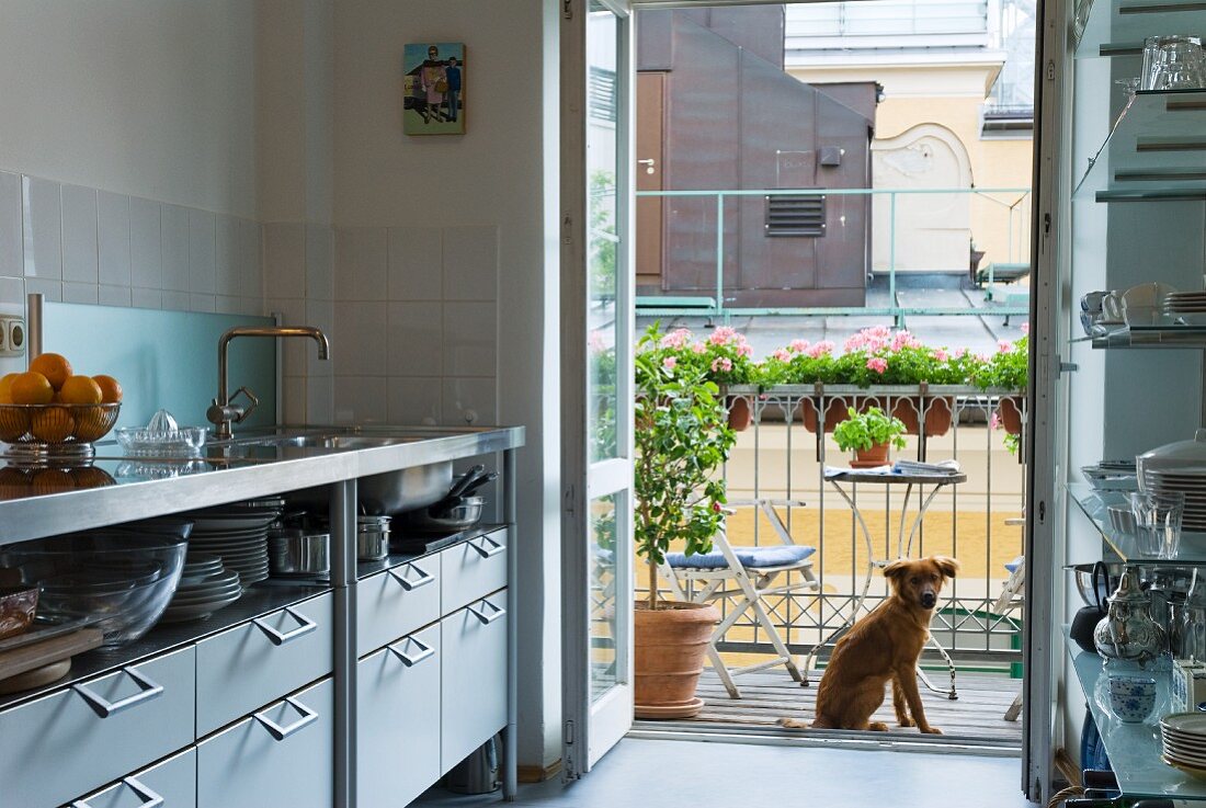 Küche mit Tür zur Balkon; sitzender Hund vor Brüstungsgeländer mit Blumenkästen