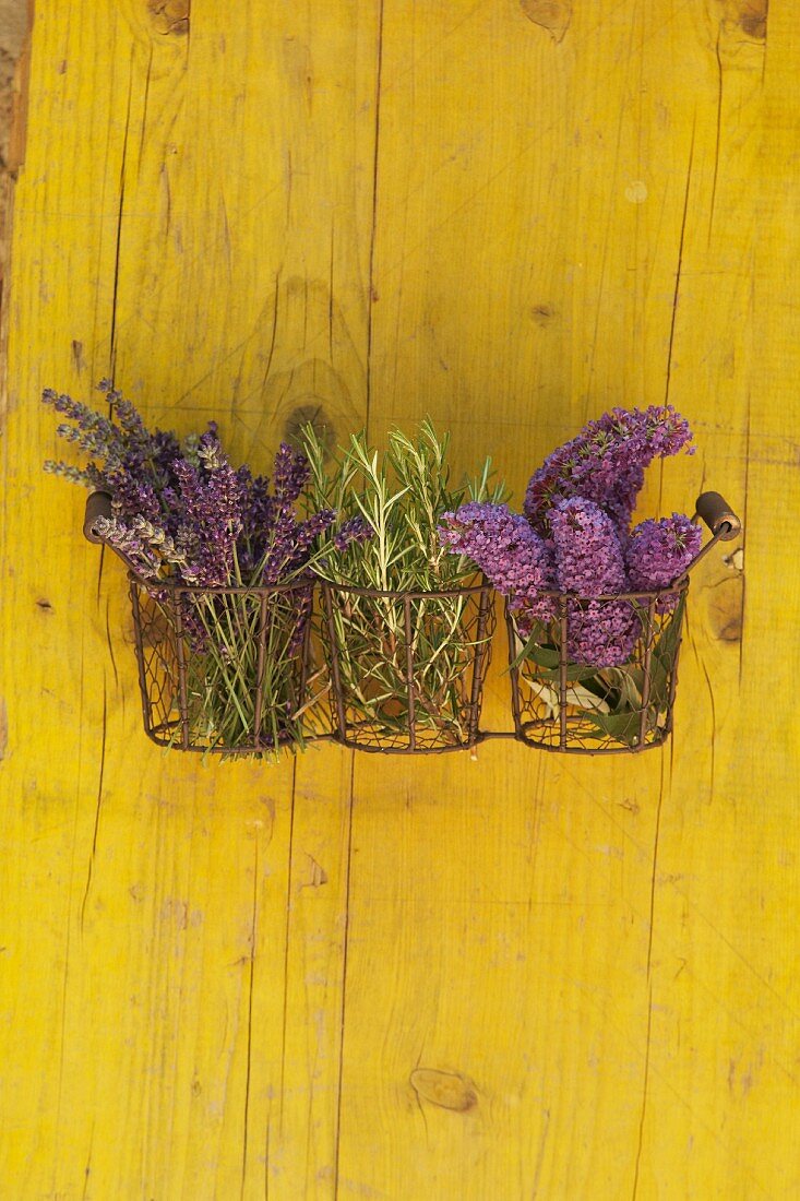 Kräuterzweige, Lavendel und Fliederblüten in Drahtkorb an gelber Holzwand aufgehängt