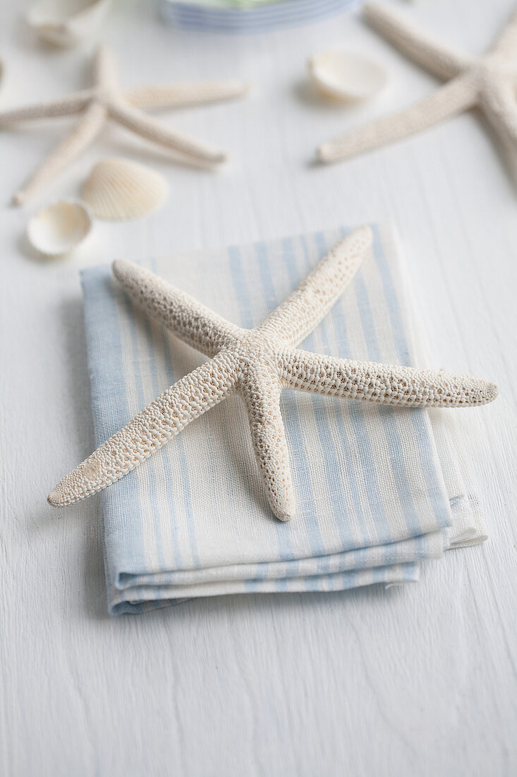 Dried starfish on linen napkin