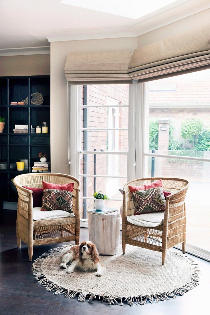 Seating area in window bay with wicker armchairs and dog on round, fringed rug