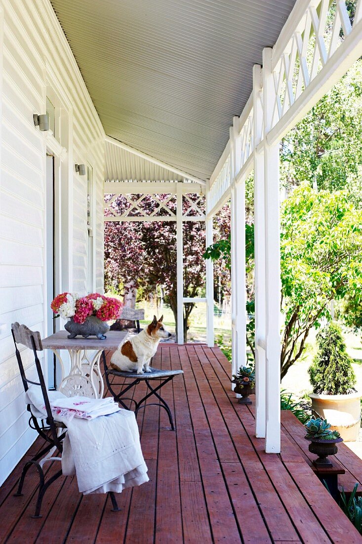 Vintage garden furniture and dog on veranda of wooden house