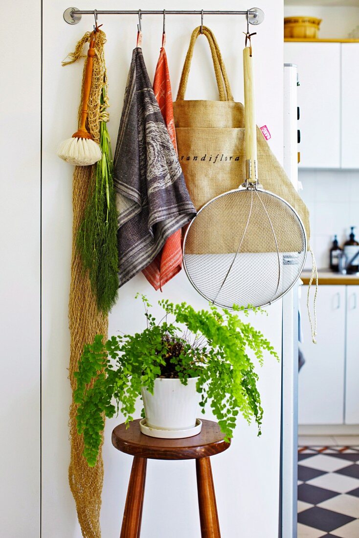 Tea towels and kitchen utensils hanging from hooks on wall above house plant on plant stand