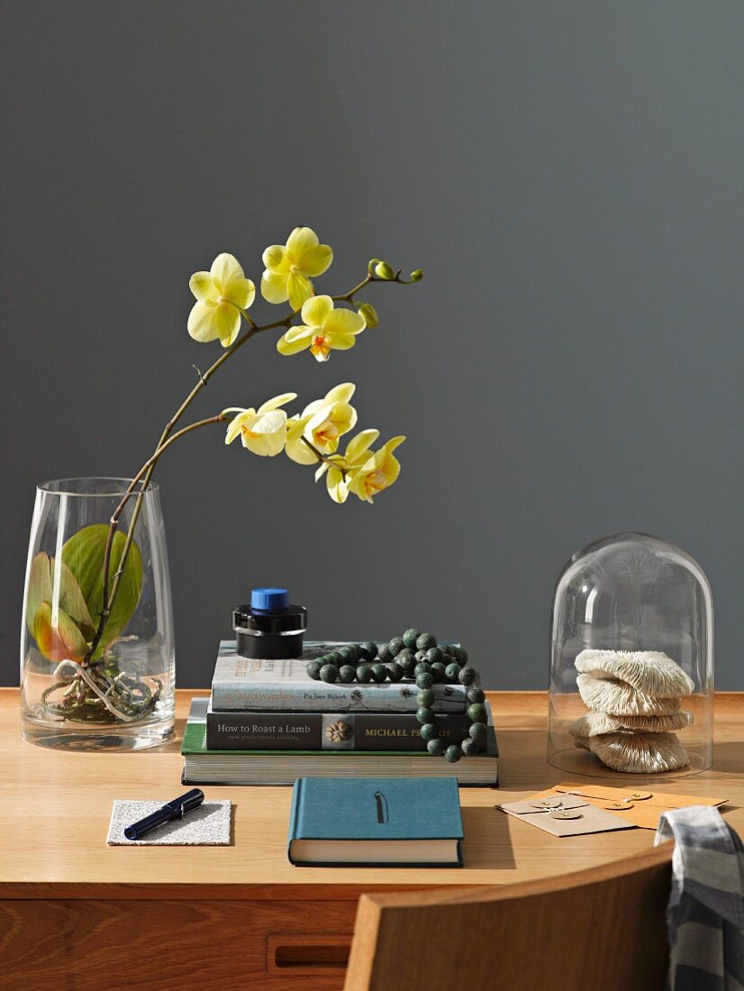Orchid in glass vase, books and glass cover on wooden table in front of dark grey wall