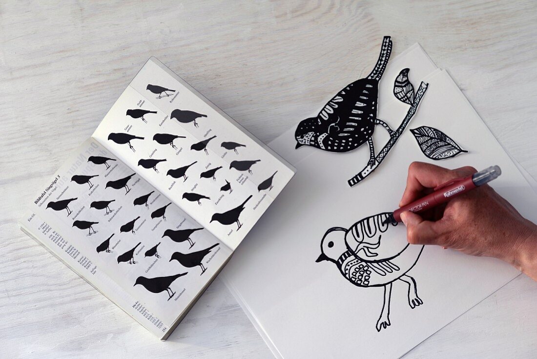 Drawing birds using book of silhouettes as guideline