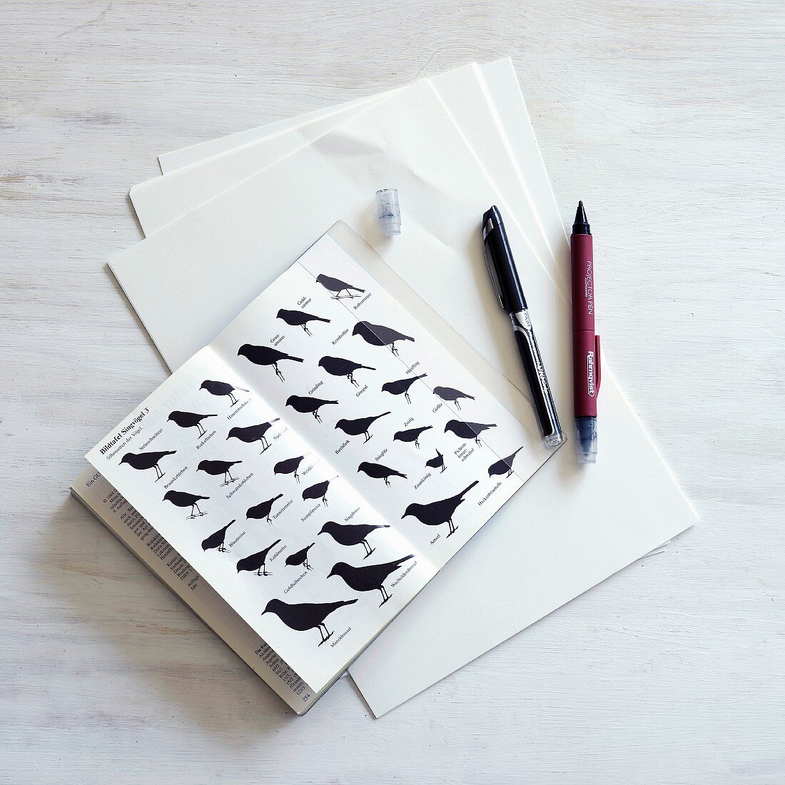 Pens next to book containing various illustrations of birds