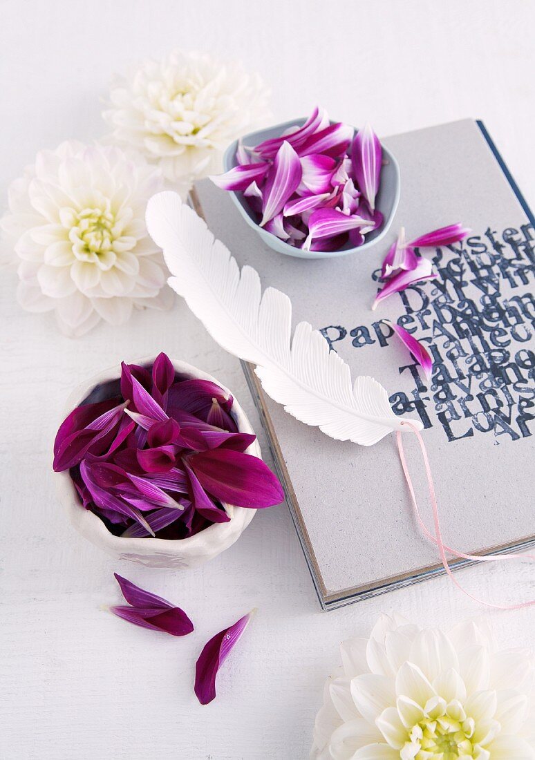 weiße Dahlienblüten und Porzellanschälchen mit lilafarbenen Blütenblättern auf bedrucktem Tagebuch mit weißer Feder