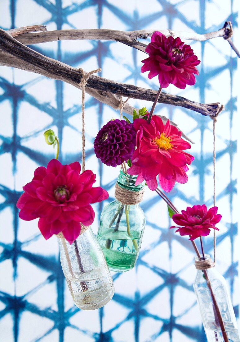 Aufgehängte Glasfläschchen mit einzelnen Dahlienblüten an verwittertem Ast vor gitterstrukturierter Wand