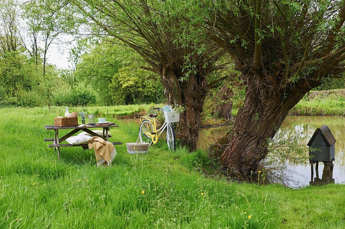 Idyllischer Picknickplatz mit alten Bäumen und Teich