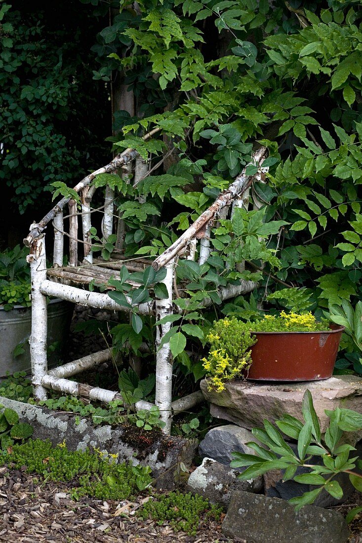 Aus Birkenzweigen selbst gebauter Stuhl im Garten, überwuchert von den umgebenden Pflanzen