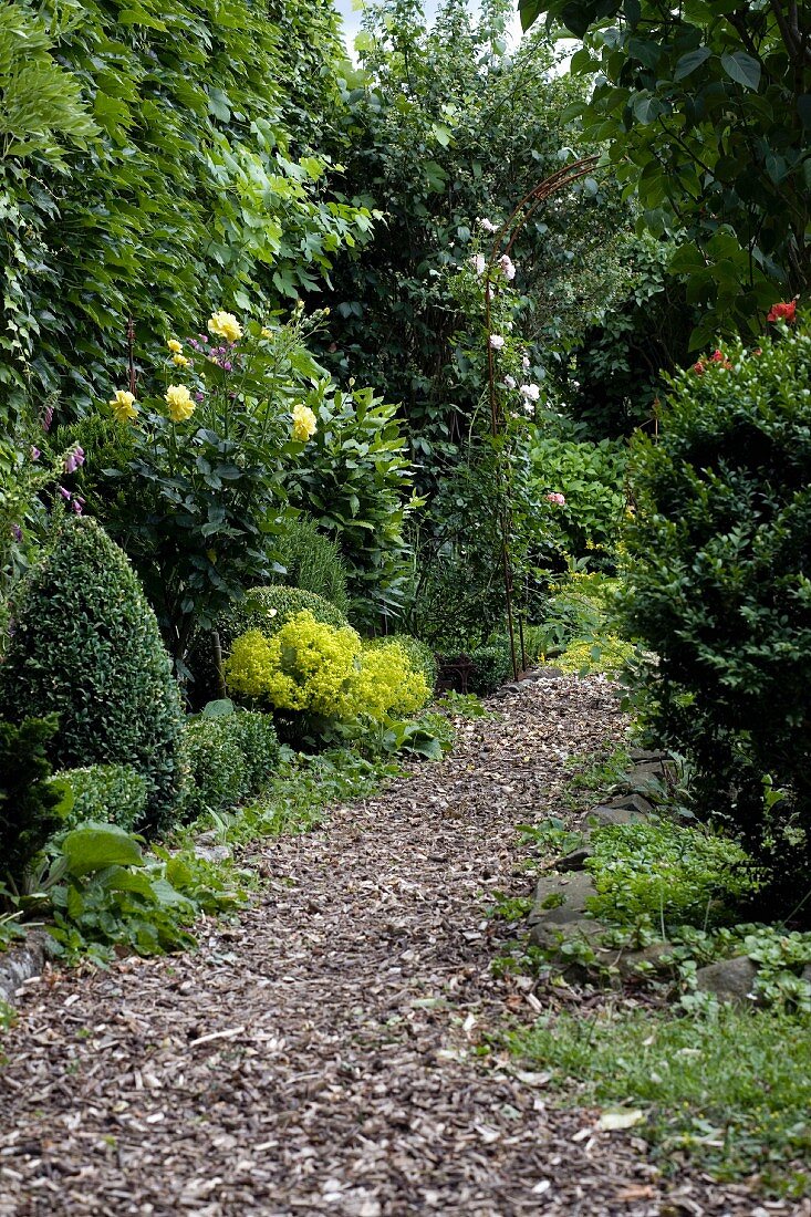 Path in mature, natural-style garden