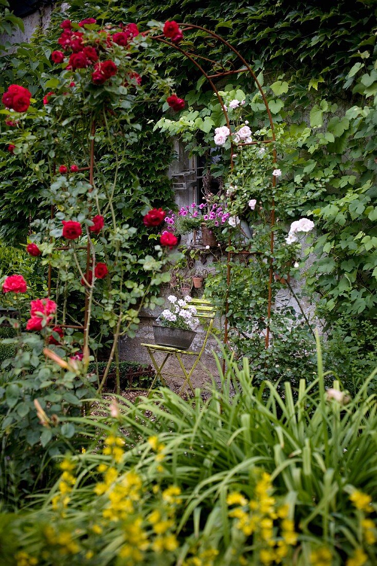 Blick durch Rosenbogen auf Gartenstuhl mit Pflanztopf vor einer berankten Hausfassade