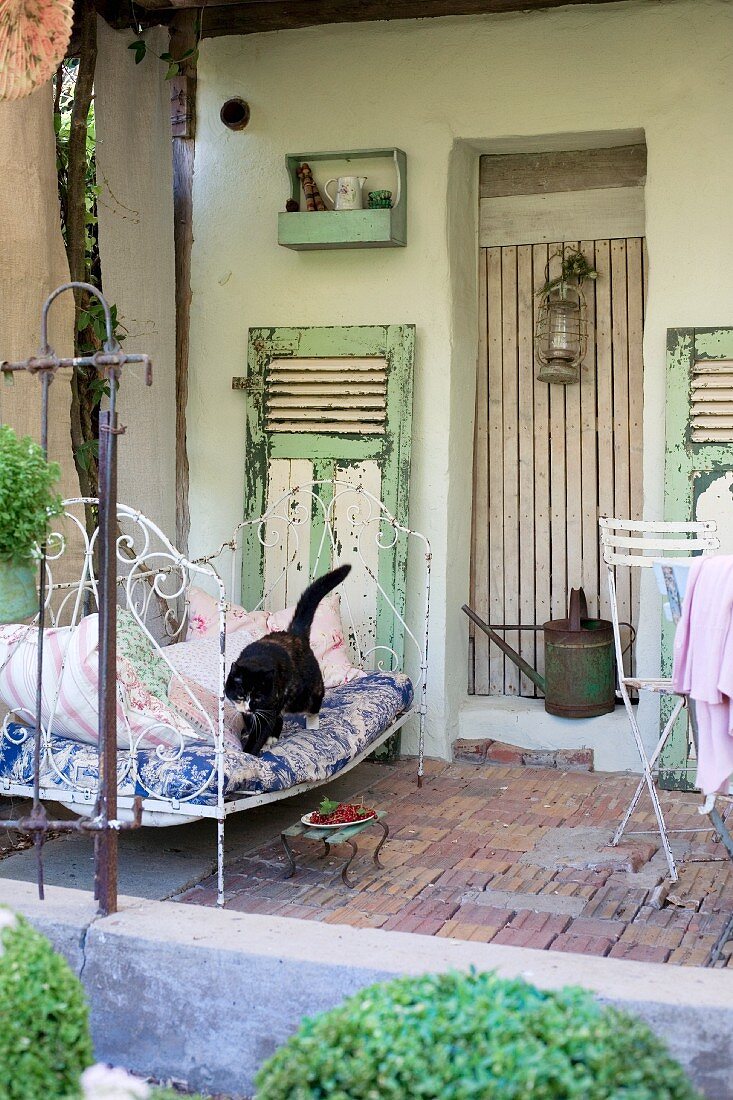 Cat on vintage metal couch on veranda of farm house