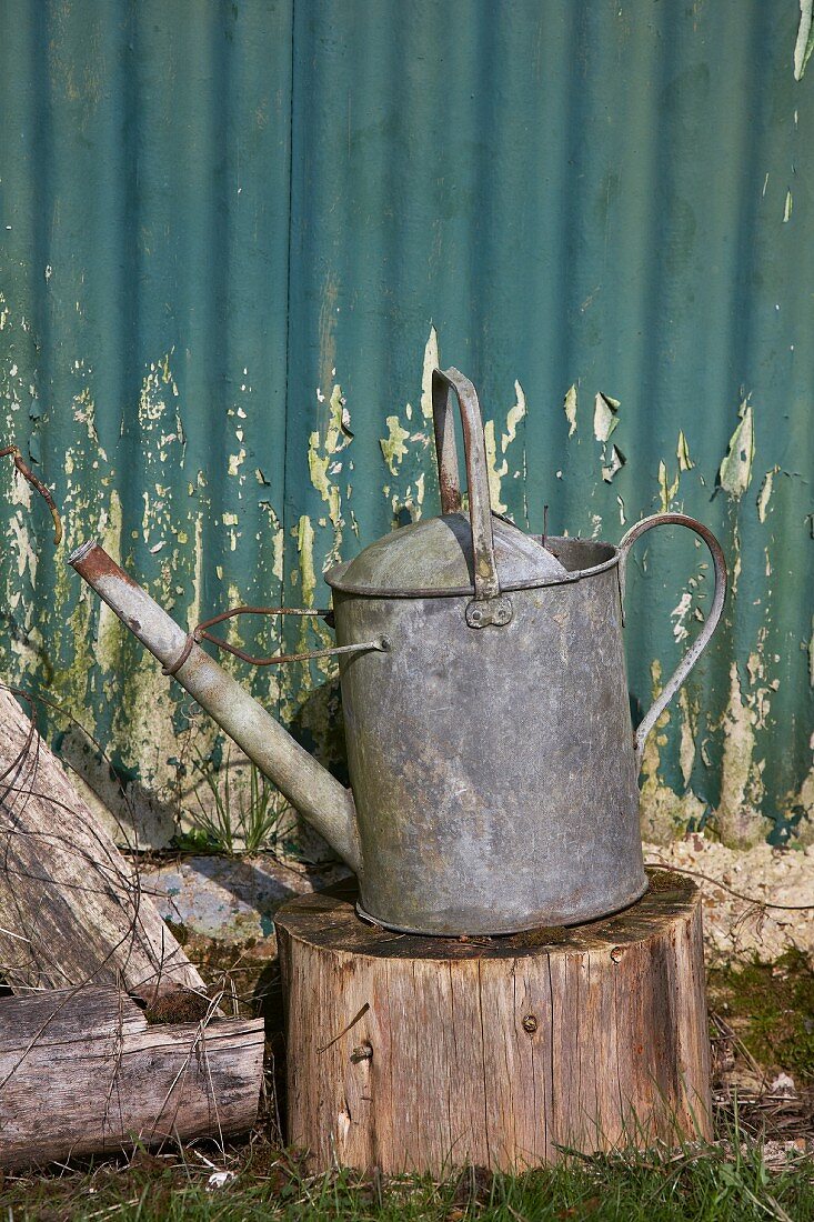 Old watering can on chopping block in garden