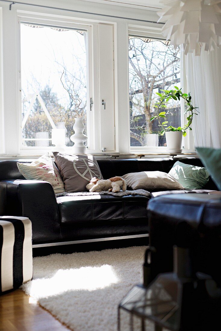 Black leather sofa with pale scatter cushions below window