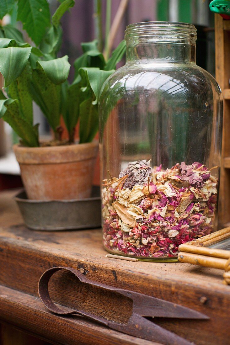 Altes Glasgefäss mit getrockneten Blütenblättern auf Holzablage