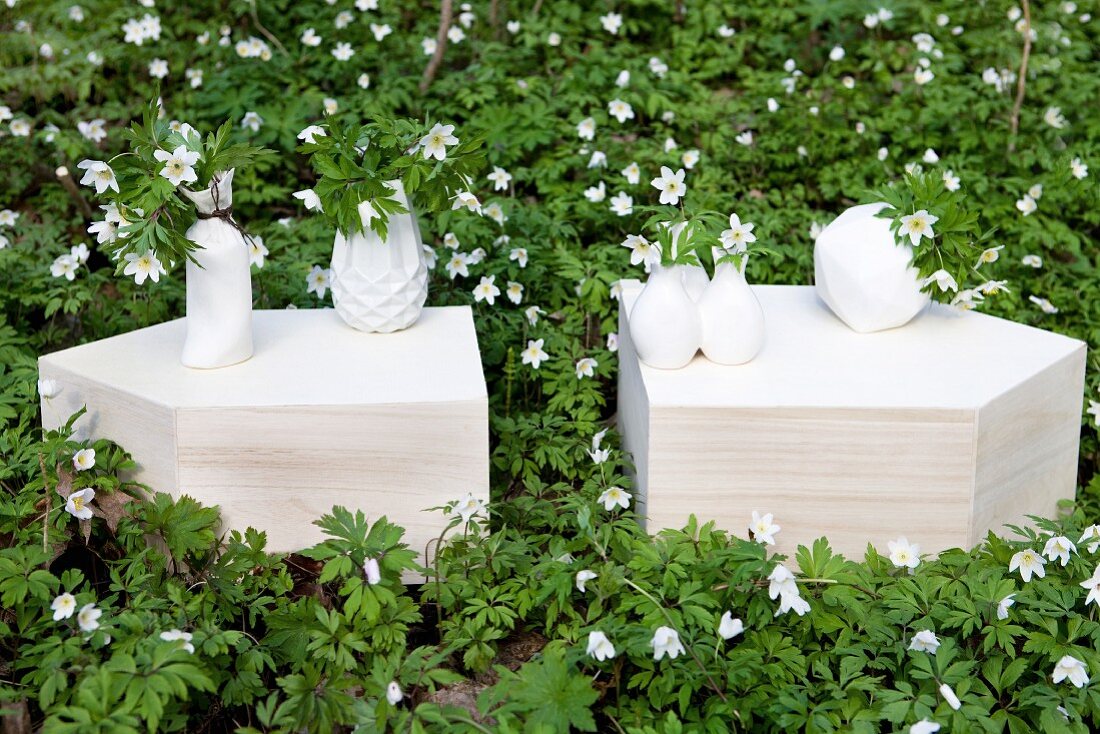 weiße Keramikvasen auf geschnittenen Natursteinblöcken inmitten eines Beets mit Buschwindröschen