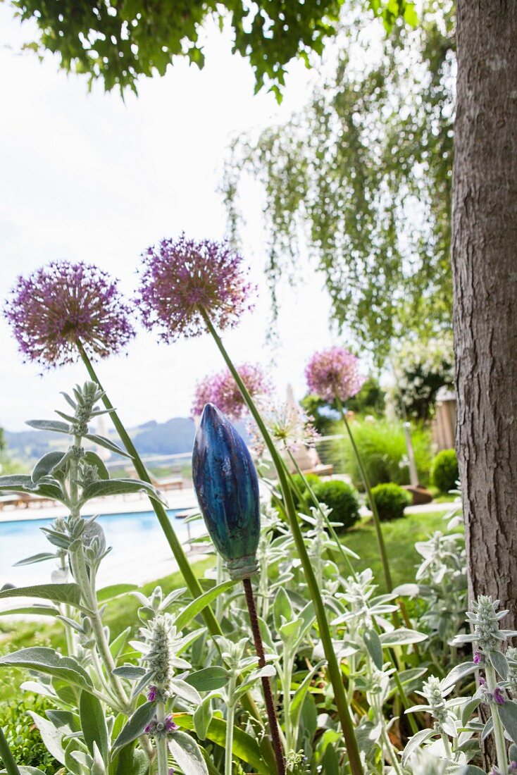 Gartendeko zwischen Allium und Stachys (Zieste), im Hintergrund Pool in parkähnlichem Garten