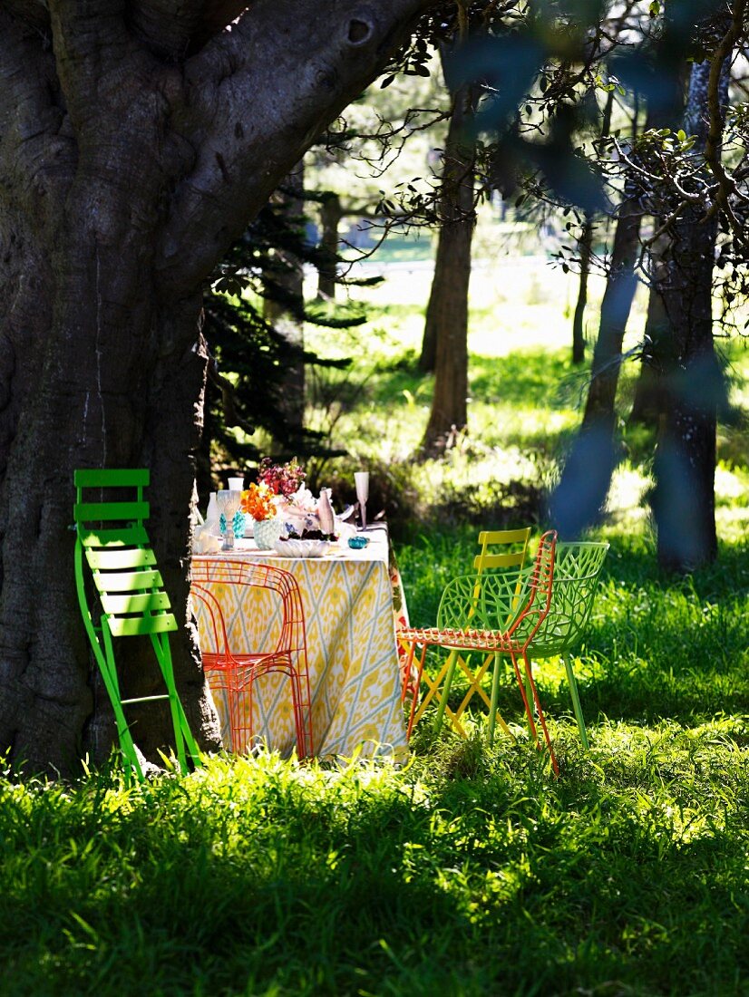 Gedeckter Picknicktisch mit Stühlen unter Bäumen