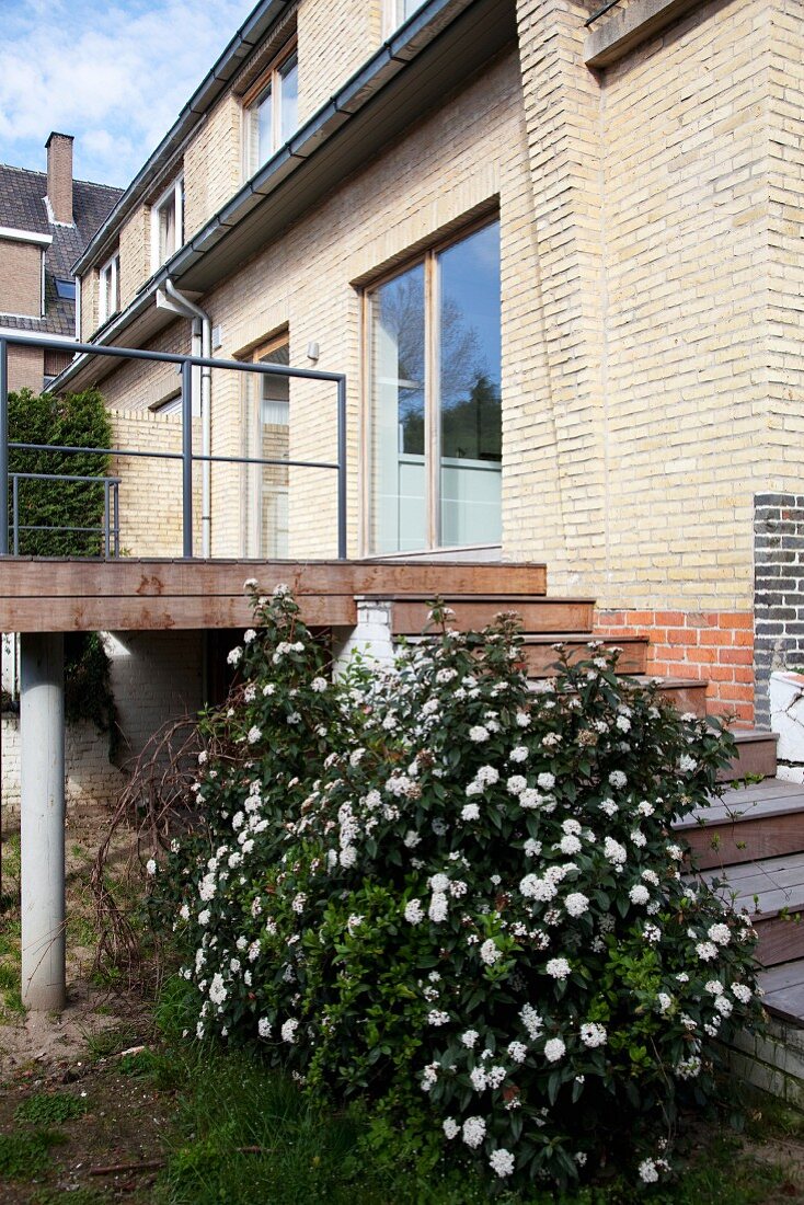 Blühender weißer Busch an Treppe zur Holzterrasse vor Wohnhaus mit Sichtmauerwerk