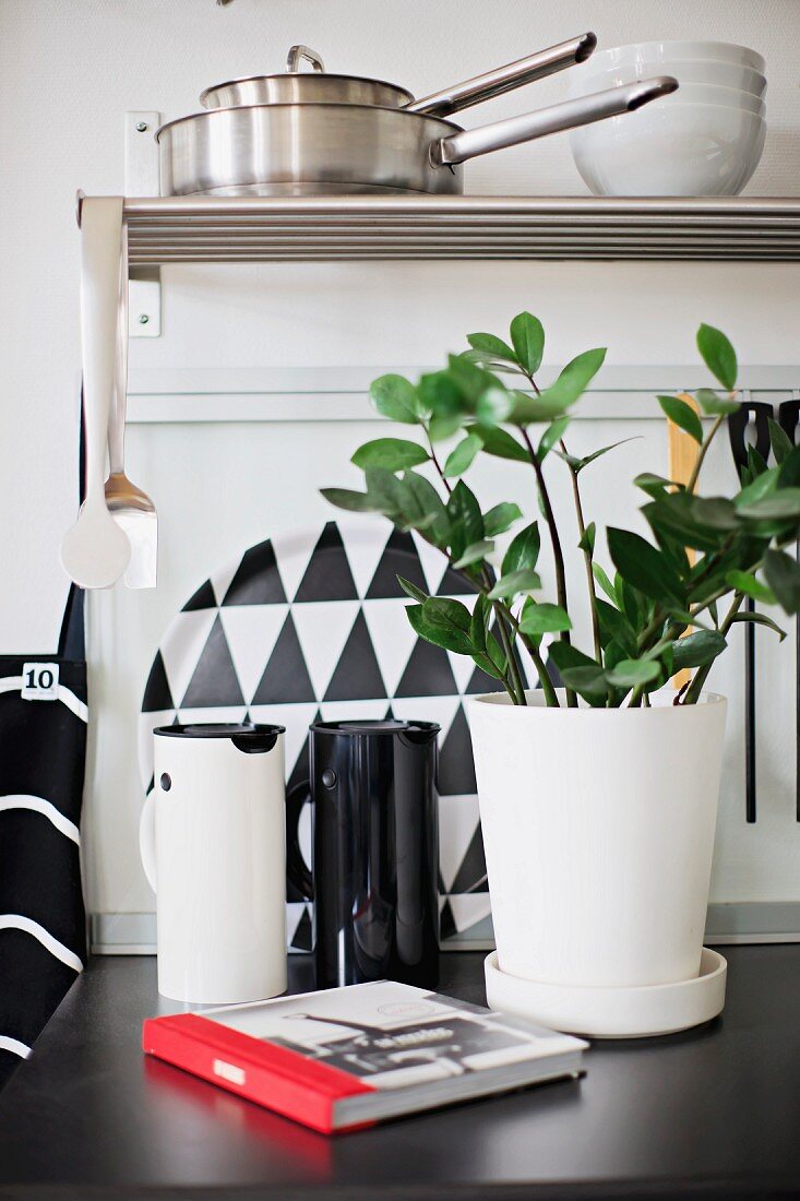 House plant in white pot and black and white thermos flasks on kitchen counter