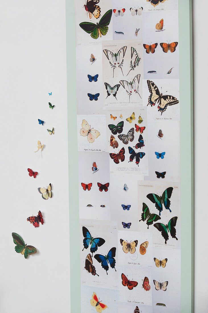 Wandboard beklebt mit farbig ausgedruckten Schmetterlingsmotiven