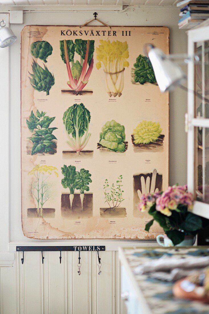 Vintage board with illustrations of various vegetables on wall
