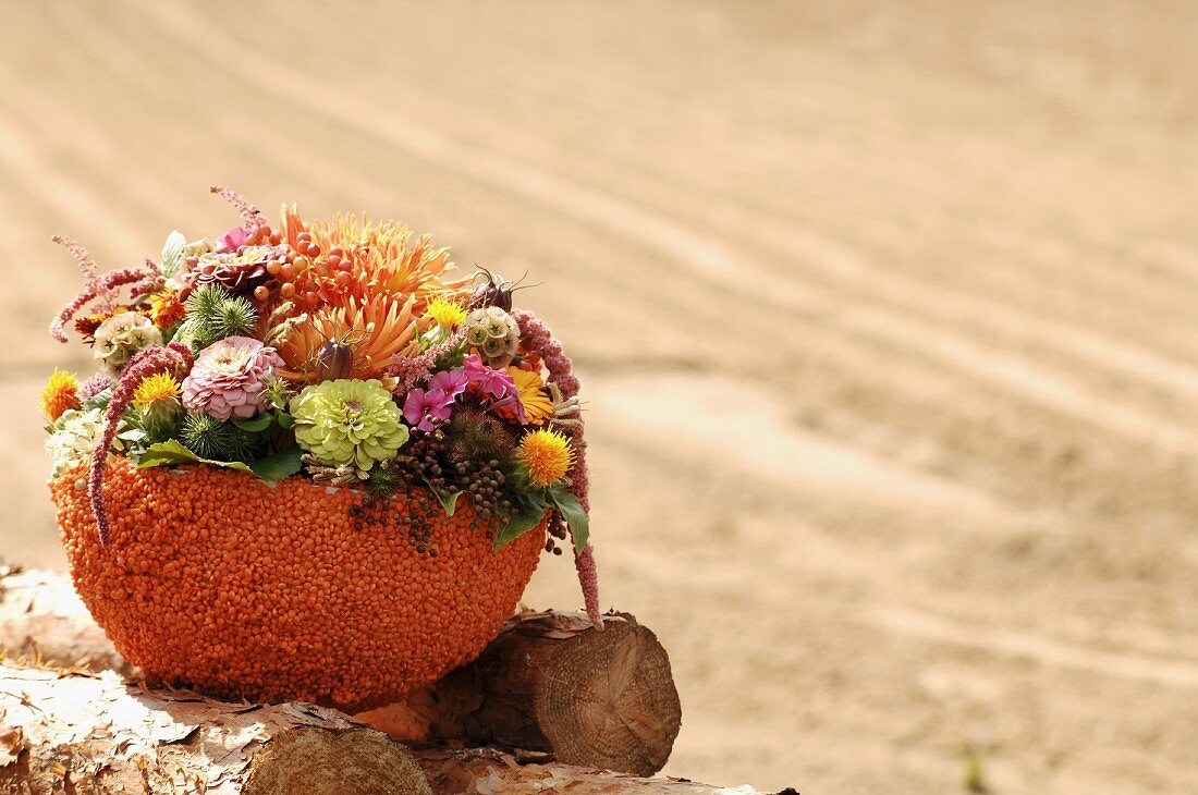 Herbstliches Blumengesteck in mit Linsen beklebten Styroporschalen