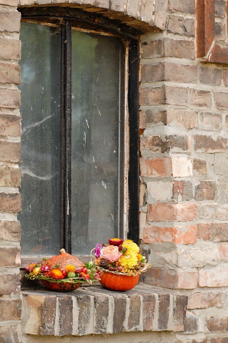 Herbstliche Blumengestecke in ausgehöhlten Kürbissen auf Fenstersims