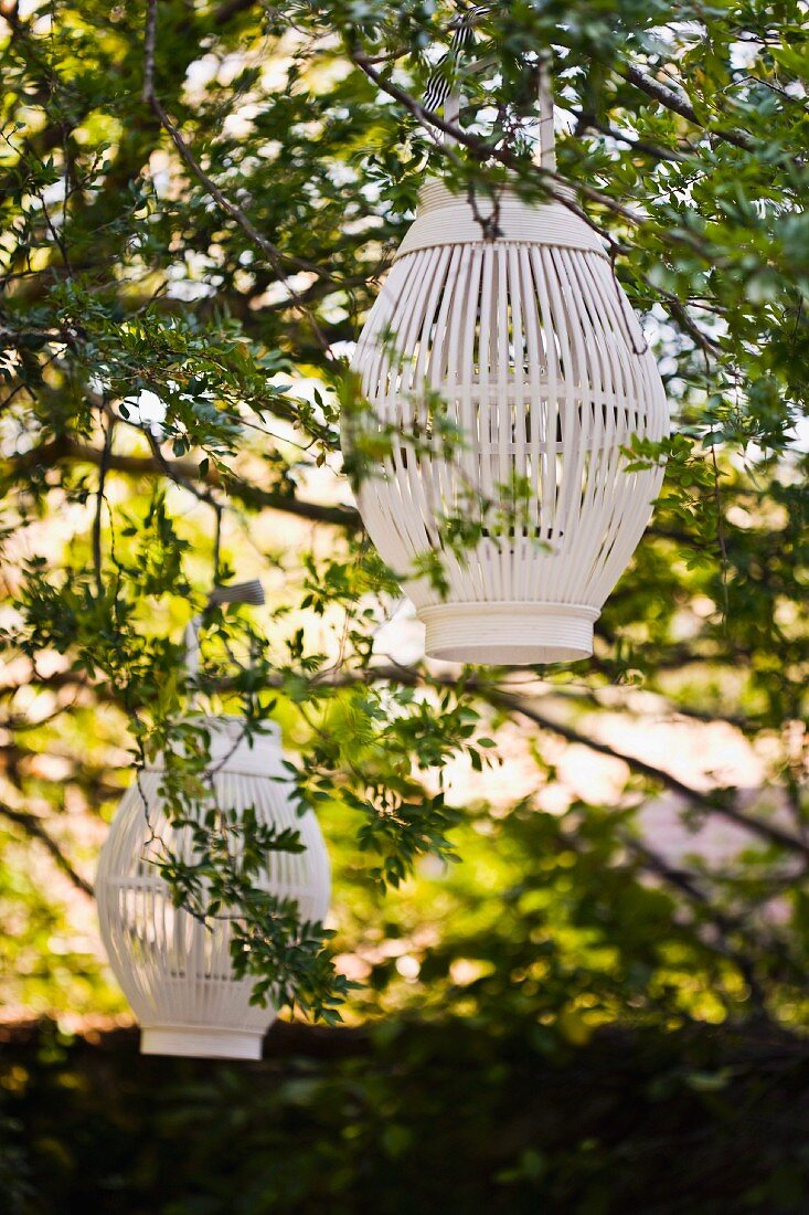 weiße Lamellen-Laternen an sommerlichem Laubbaum aufgehängt