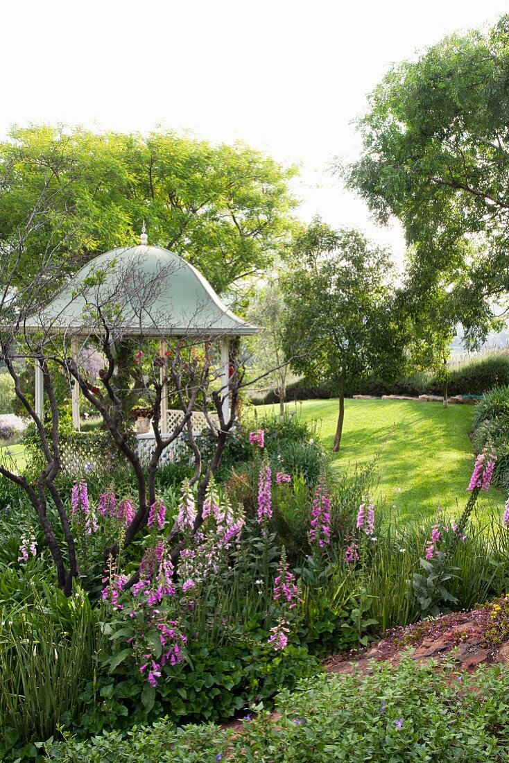 Foxgloves growing in park-like garden; summerhouse in background