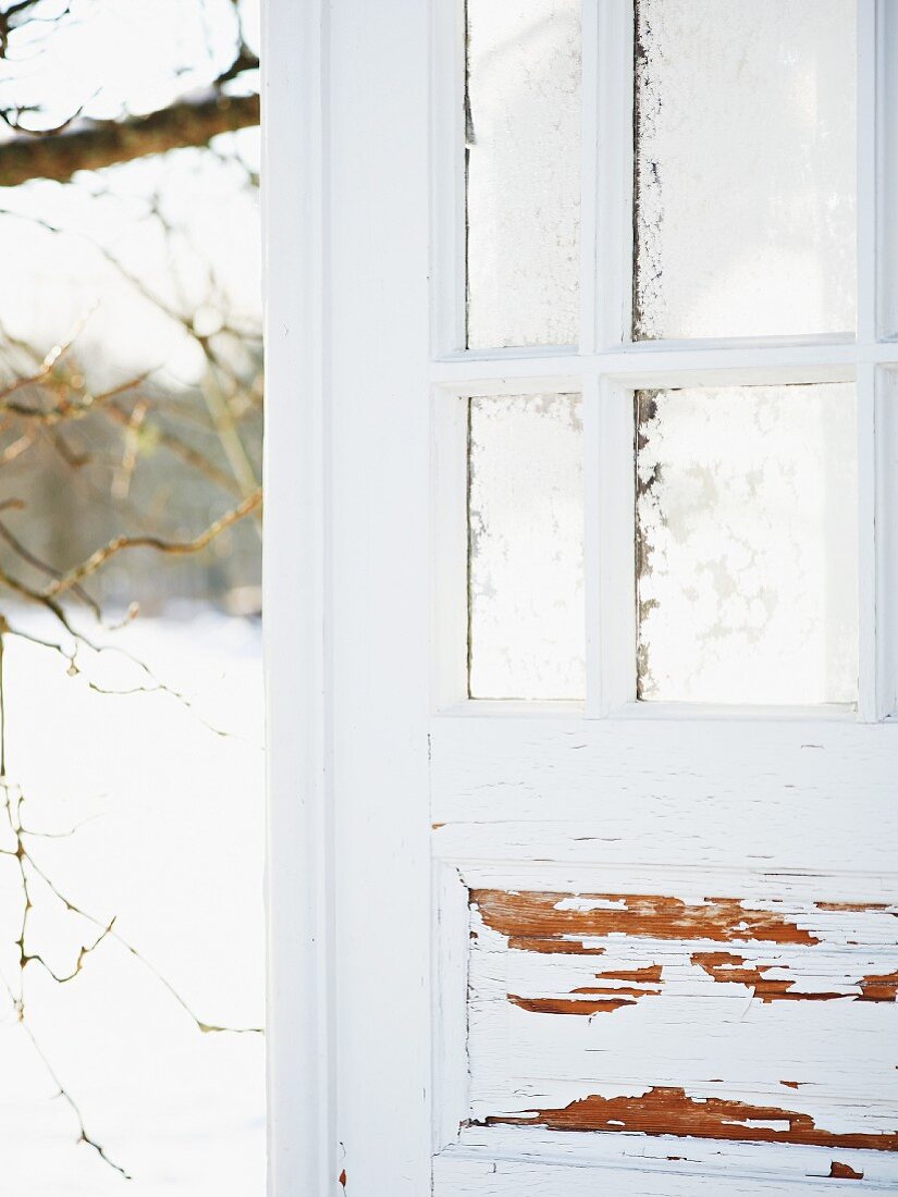 Icy window in shed door