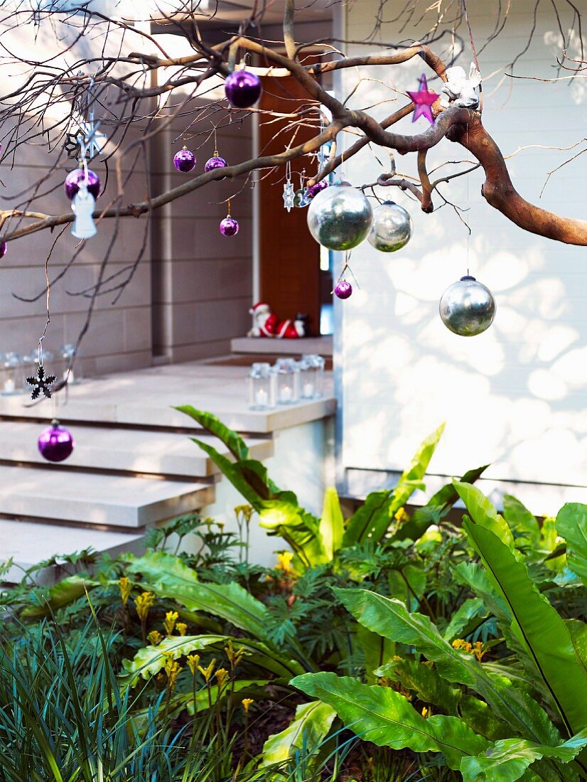 Weihnachtlich geschmückter Baum im Vorgarten neben Eingangstreppe eines zeitgenössischen Wohnhauses
