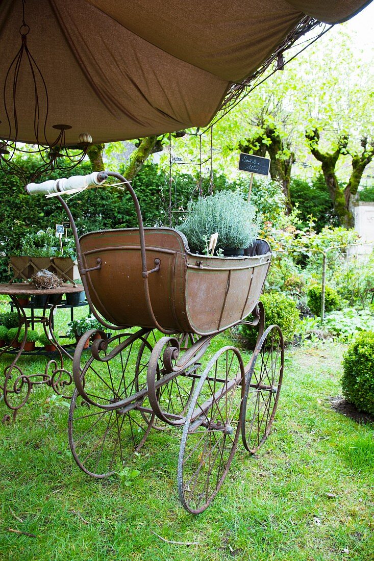 Verkaufsausstellung unter Pergola im Garten eines französischen Landhauses - Pflanztöpfe mit Preisschildern in antikem Kinderwagen
