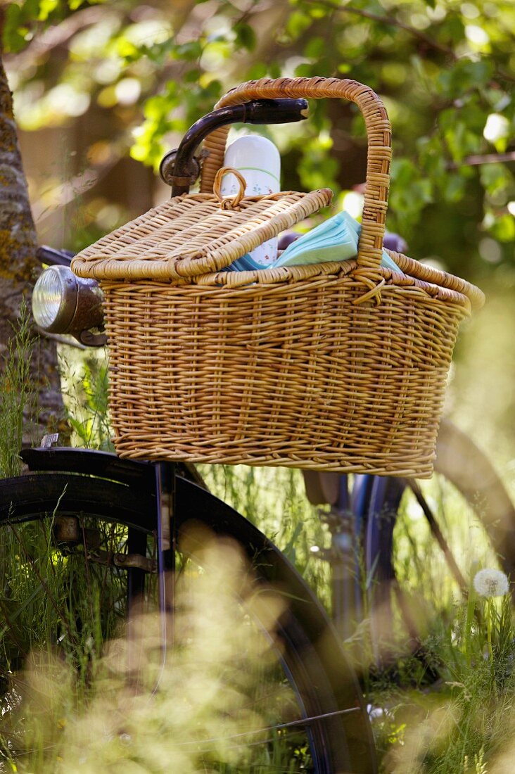 bicycle picnic basket