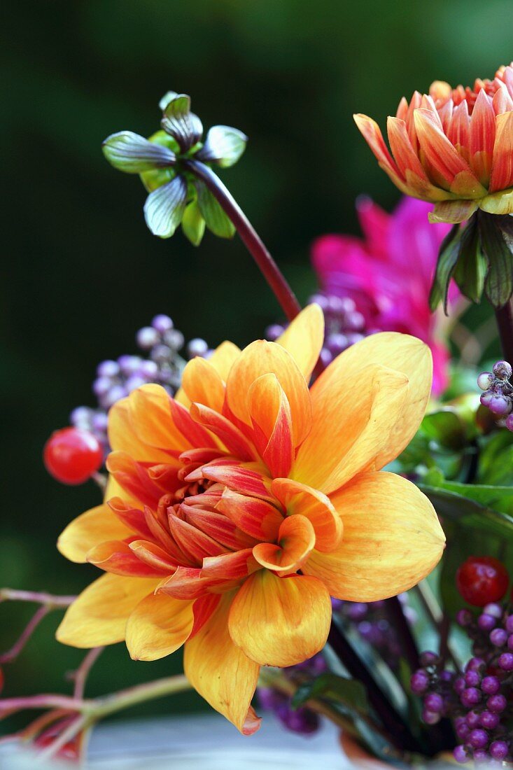 Orangefarbene Dahlienblüte im Blumenstrauß