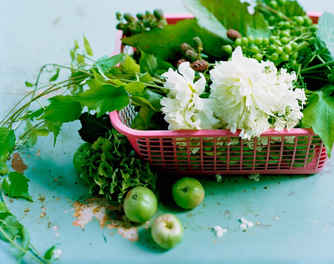 Flowers and sprigs of unripe grapes and blackberries in plastic basket