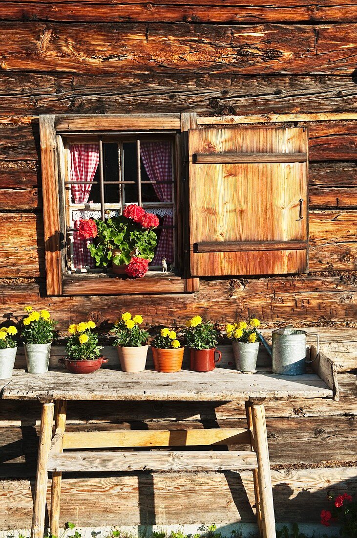 Alpine cabin with decorative flower pots in Salzburg, Austria
