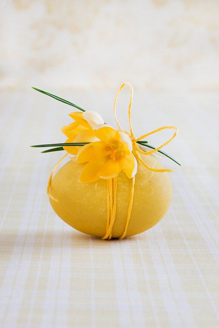 Gelb gefärbtes gekochtes Hühnerei, mit Krokusblüten und gelber Schnur umwickelt