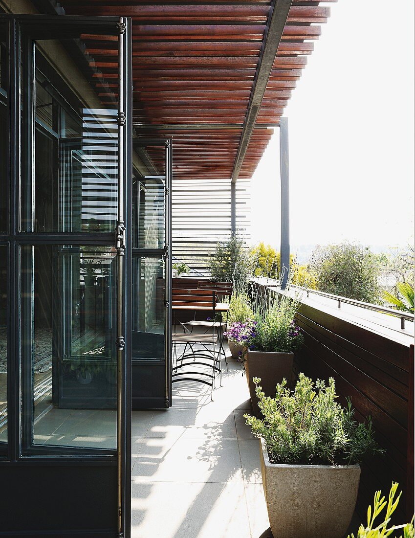 Glass doors opening onto narrow, sunny balcony with potted plants