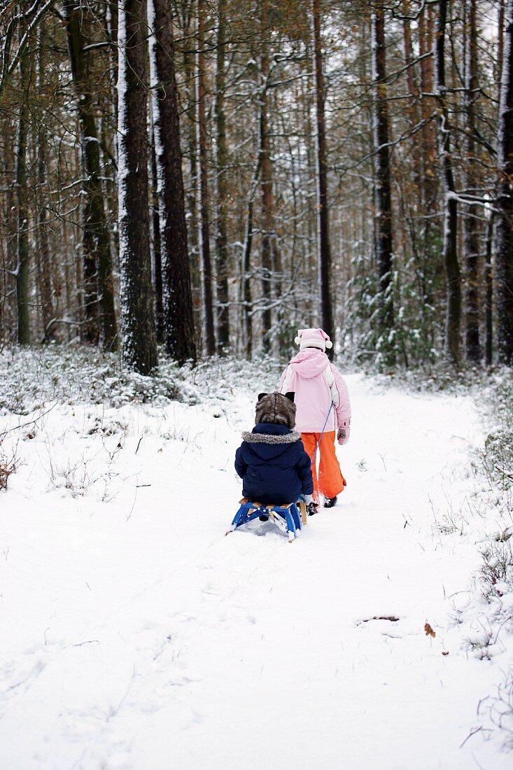 Two children with sledge in woods