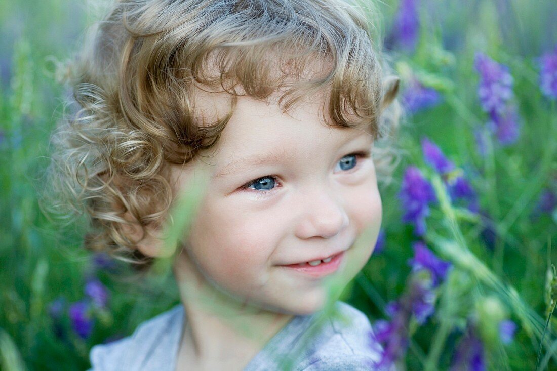 Porträt eines Jungen auf Blumenwiese