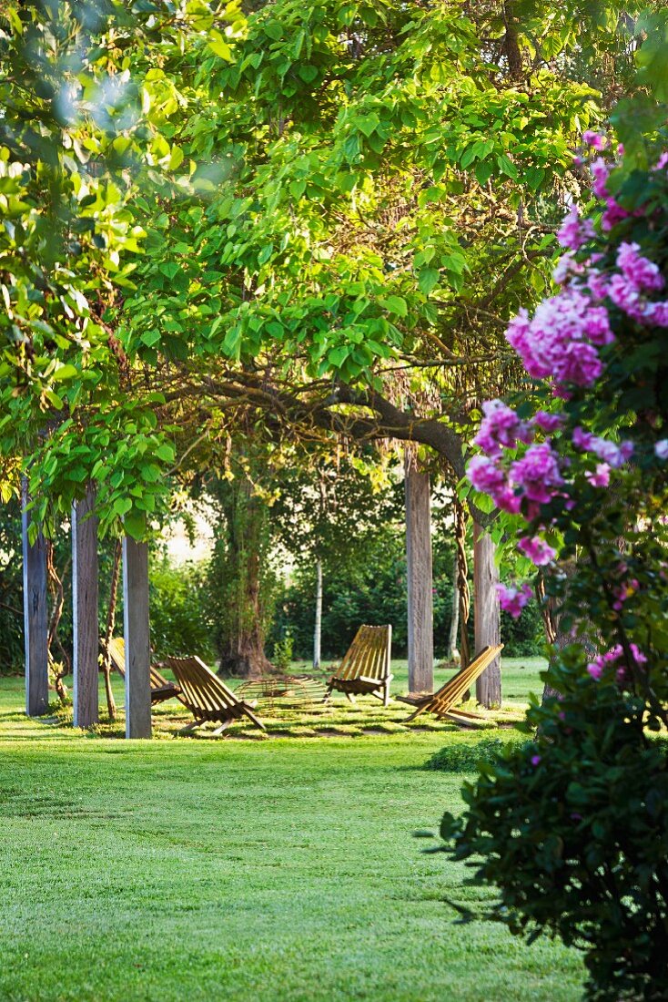 Gartenplatz mit Liegestühlen zwischen Stehlen in weitläufigem sommerlichem Garten