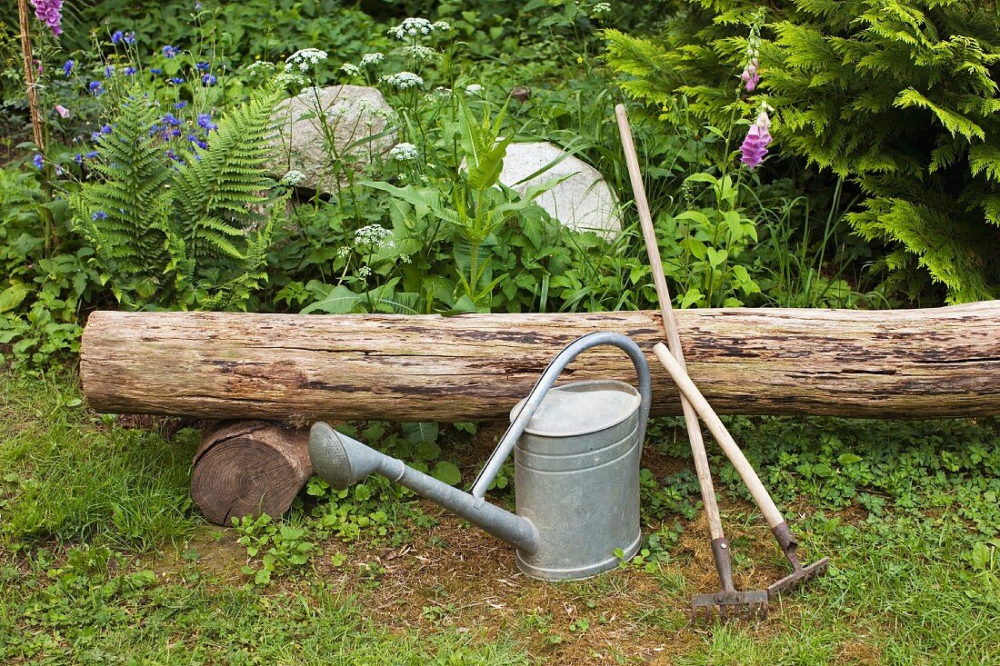 Gardening tools outdoors