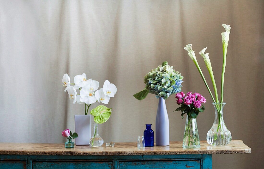 Blüten von Orchidee, Anthurie, Herbst-Hortensie, Rose und Kannenpflanze in verschiedenen Vasen auf Vintage Kommode