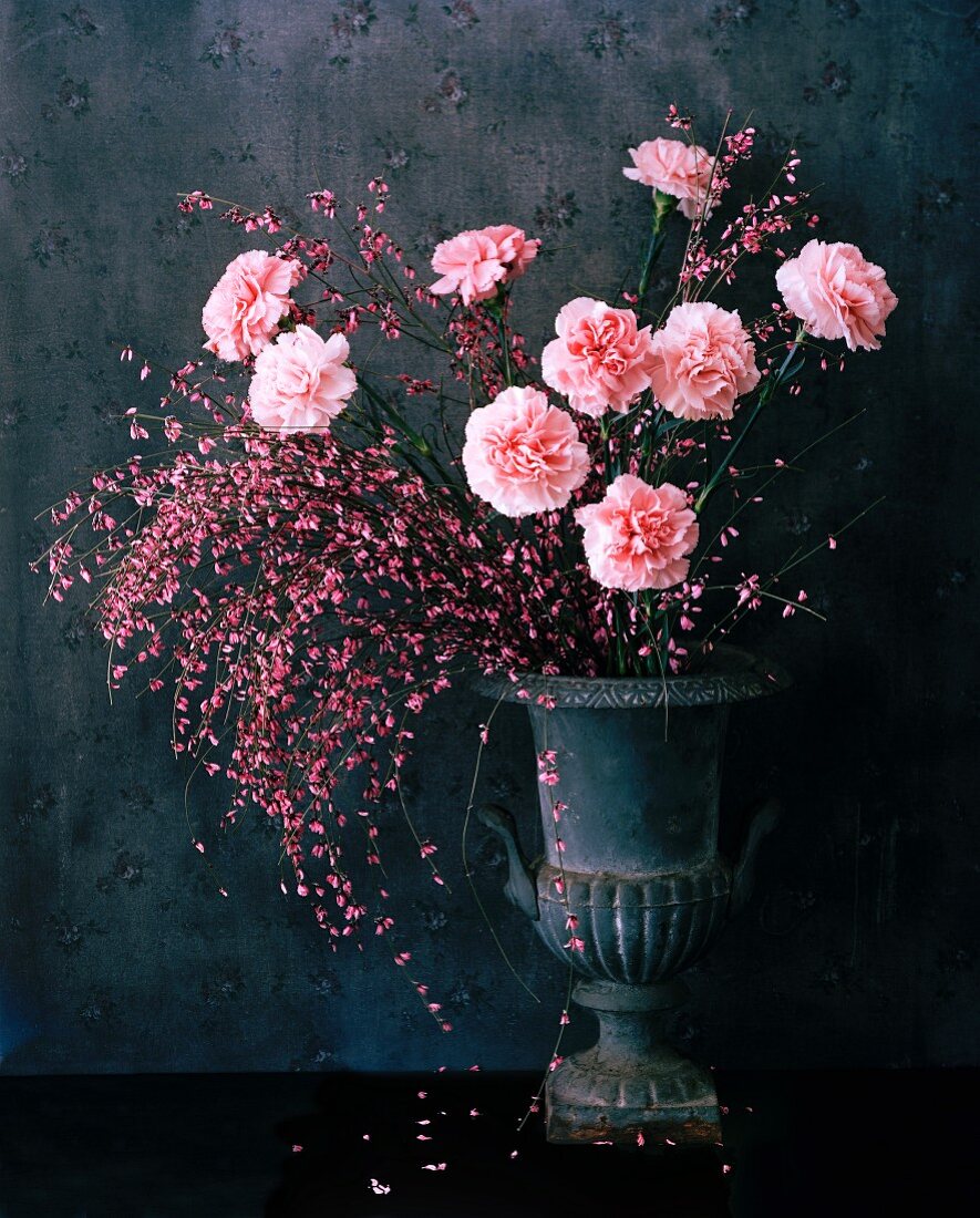 Pink carnations in urn-shaped vase